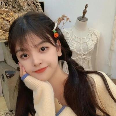 安德烈·卢布廖夫